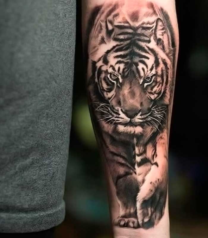 tatuajes de tigres para caballeros