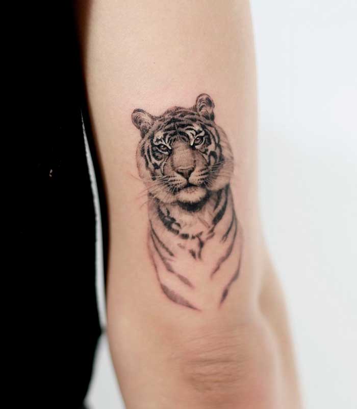tatuajes de tigres pequenos