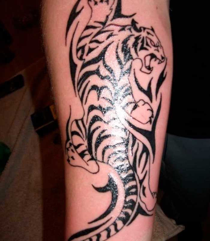 tatuajes de tigres tribales