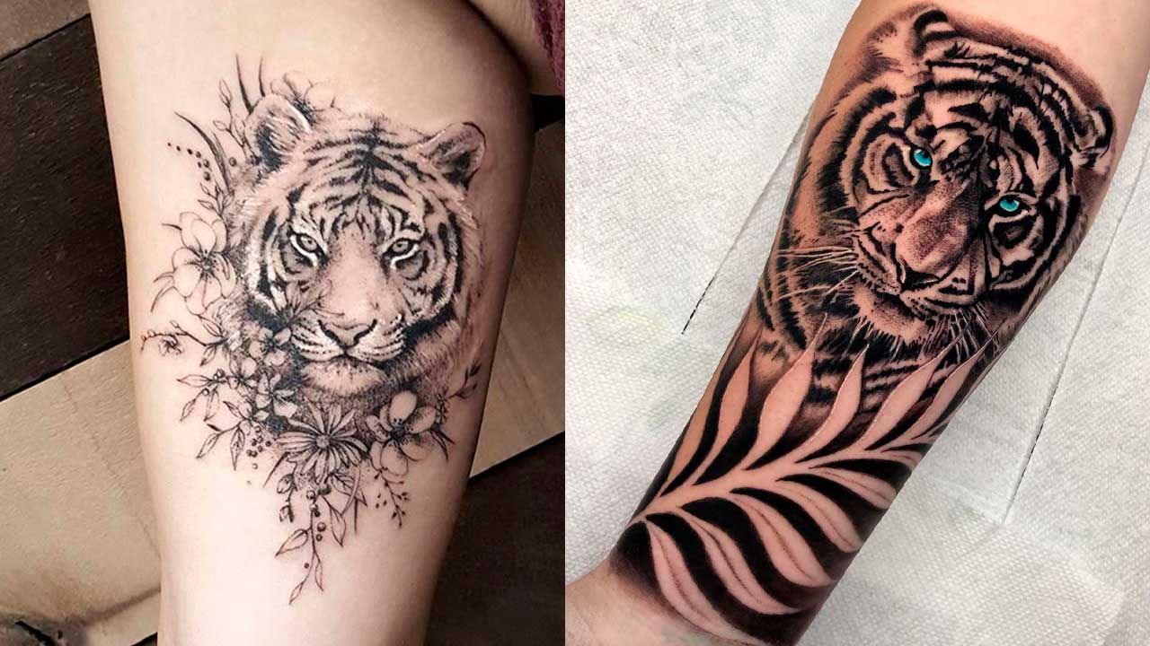 Tatuajes de tigres: 🐯 Significado y mejores diseños