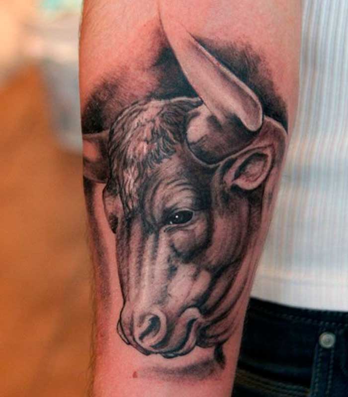tatuajes de toros en el brazo