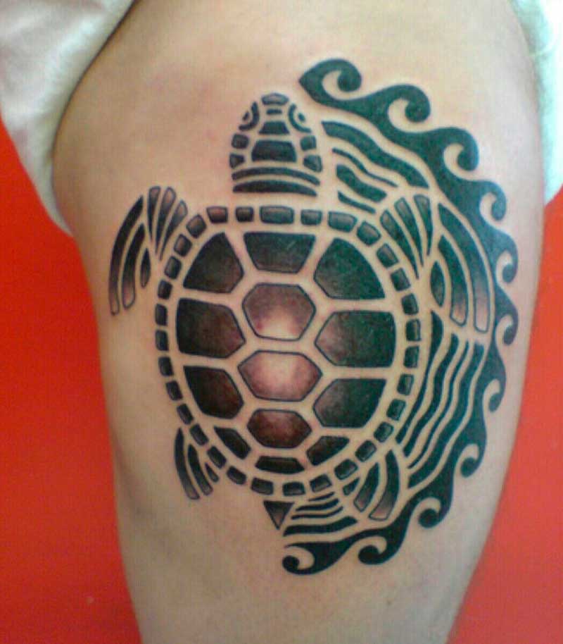 tatuajes de tortugas polinesias 10