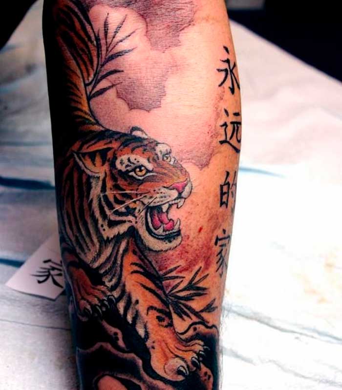 tatuajes japoneses de tigres