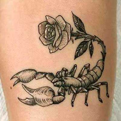 tatuaje de escorpion alacran significadodetatuajes.org