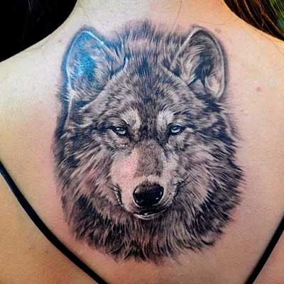 tatuaje de lobos significadodetatuajes.org inicio