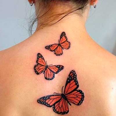 tatuaje de mariposas significadodetatuajes.org inicio