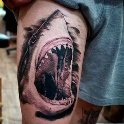 tatuaje de tiburon significadodetatuajes.org