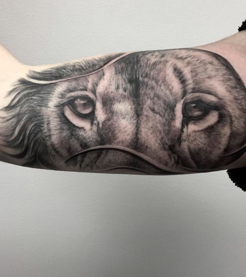 tatuajes de ojos de leon 2