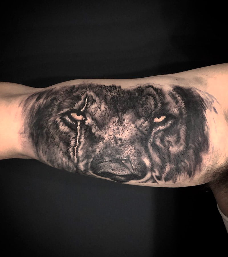 tatuajes de ojos de leon 4