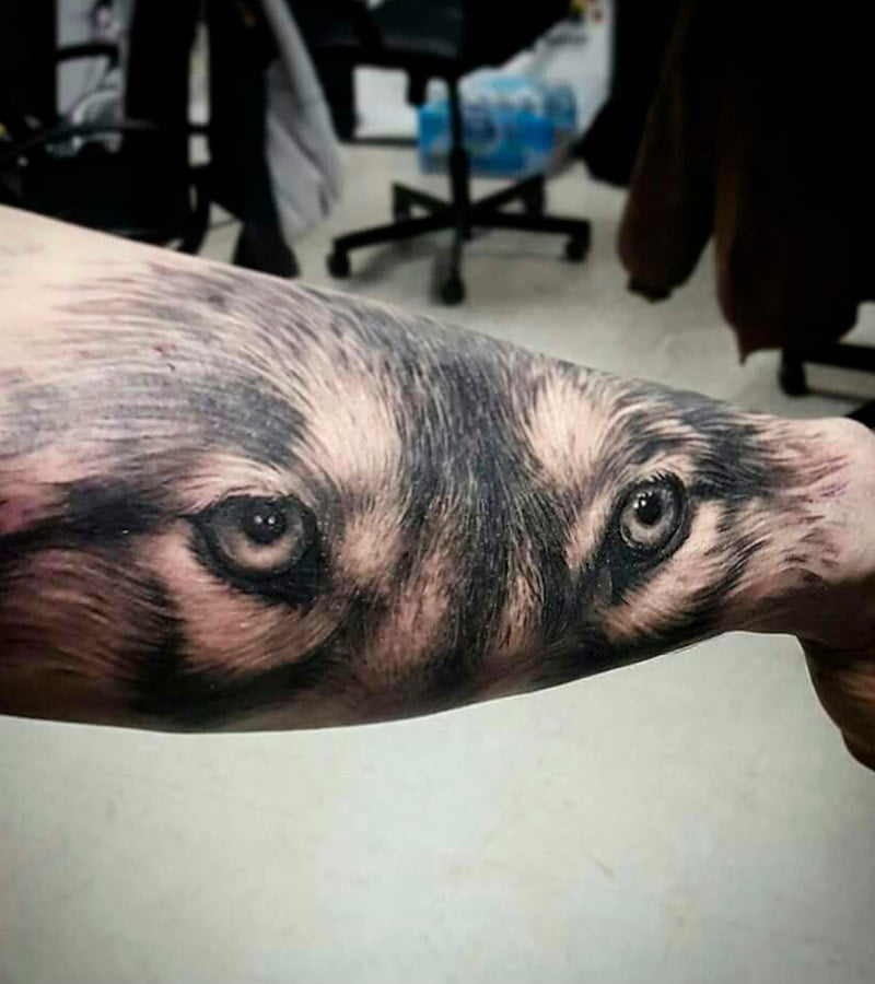tatuajes de ojos de lobo 1