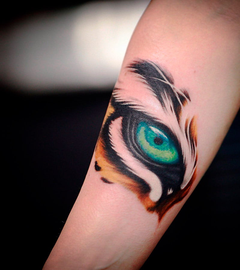 tatuajes de ojos de tigre 3